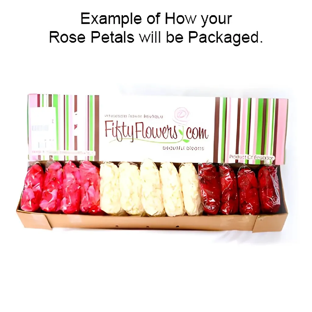 Pinksicle Rose Petals