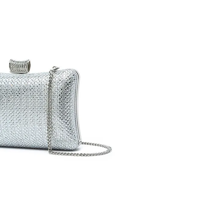 The Meticulous Evening Bag AD 137
